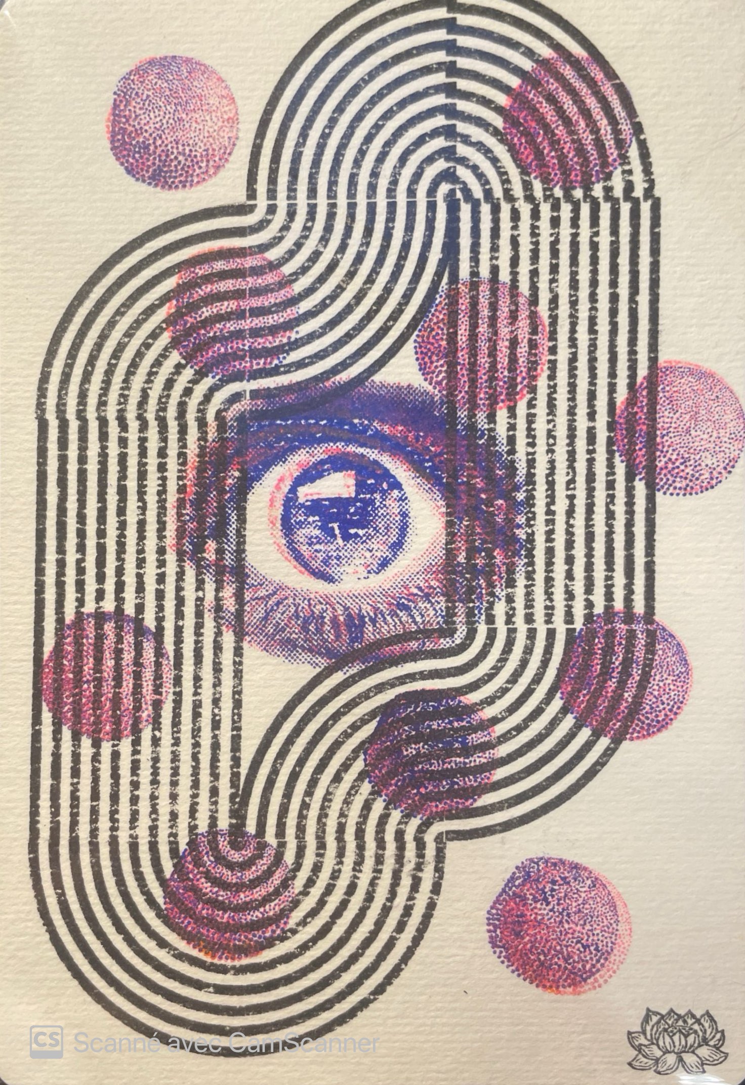 IMG 2137